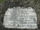 image of grave number 58995